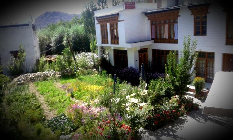 Jimmy'S Homestay Leh Exterior photo